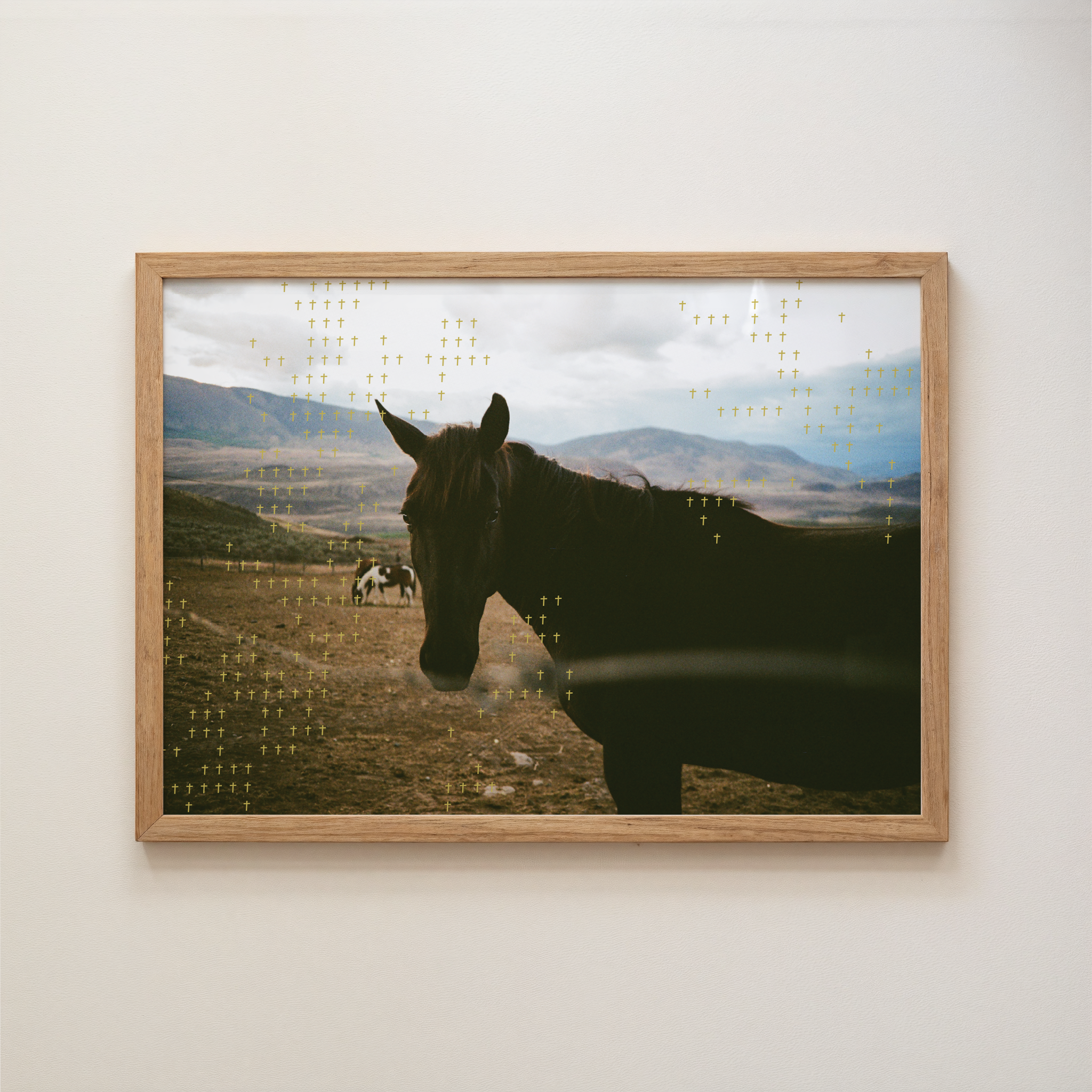 Equus